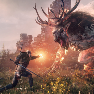 The Witcher 3 Wild Hunt Video Lustige Momente