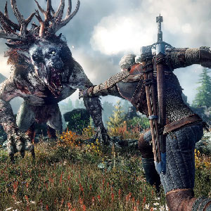 The Witcher 3 Wild Hunt Gameplay