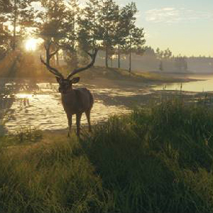 theHunter Call of the Wild Te Awaroa National Park - Rentiere