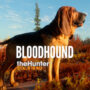 theHunter – Ruf der Wildnis | Entwickeln des Bloodhounds