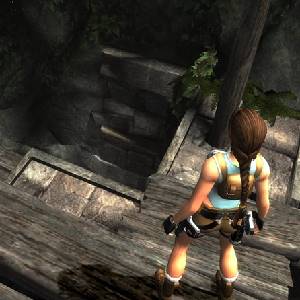 Tomb Raider Anniversary - Dunkle Spalte