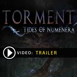 Torment Tides of Numenera Key Kaufen Preisvergleich