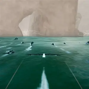 Toroa: Skycall – Delfine