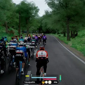 Tour de France 2026 - Grüner Wald