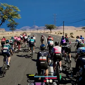 Tour de France 2026 - Radfahrer