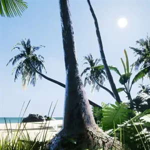 TRIGGER - Insel
