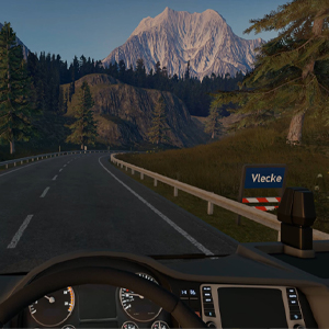 Truck Driver - Straße