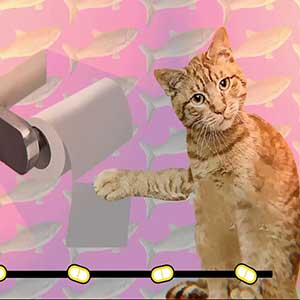 Ultra Mega Xtra Party Challenge - Katze rollt Toilettenpapier ab