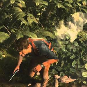 Uncharted 4 A Thiefs End Dschungel