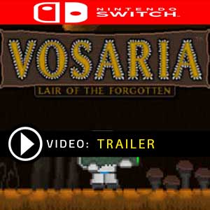Vosaria Lair of the Forgotten Nintendo Switch Digital Download und Box Edition