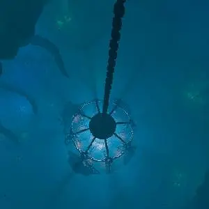 We Were Here Series Bundle - Tauchkammer