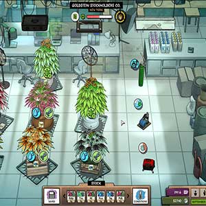 unique strains of the devil’s lettuce