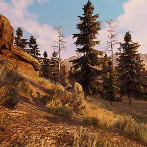 Will To Live Online - Toter Wald