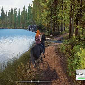 Ari trifft auf der Ranch ein