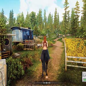 richtige Körperhaltung zu Pferd