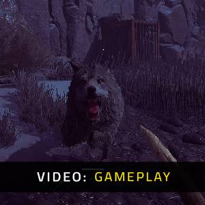 Winter Survival - Gameplay Video