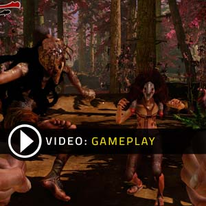 Zeno Clash 2 Gameplay