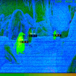 Zoochosis - Temp-Modus