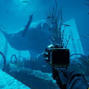 Anomaly - Unterwasser